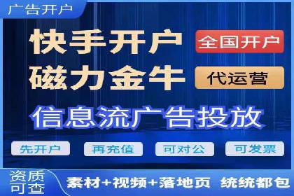 成功SEM服务案例分析报告